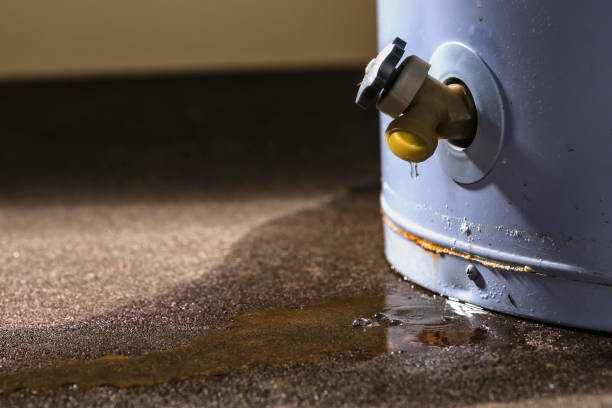 Best 24-hour water damage restoration  in Menomonie, WI