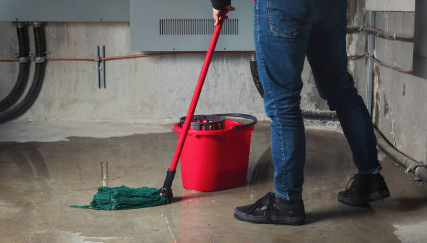Water damage restoration mold remediation in Menomonie, WI
