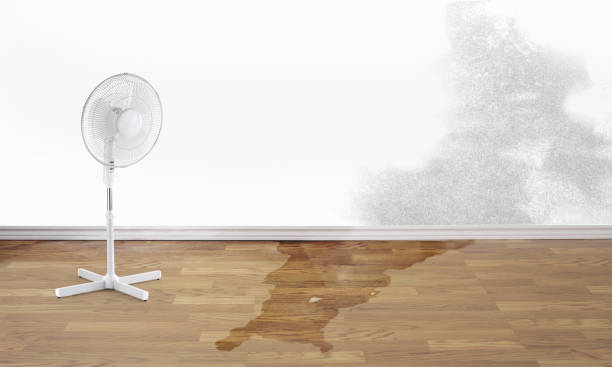 Best Commercial water damage restoration  in Menomonie, WI