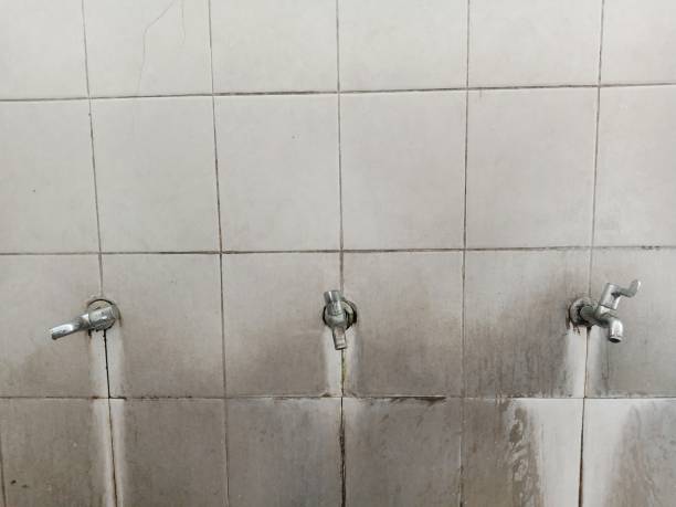 Best Flood restoration services  in Menomonie, WI